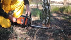Leaf Removal in Pitman, NJ